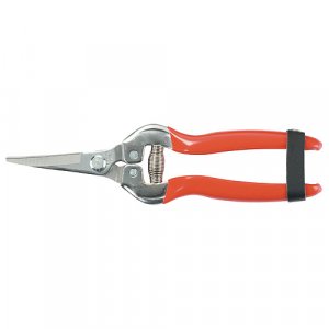 Nožnice Strend Pro Premium 803AS, 185 mm, záhradné, na ovocie, zahnuté