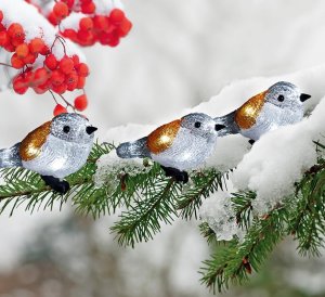 Reťaz MagicHome Vianoce A Bird, 25 LED, IP44, 3xAA, 5 vtáčikov