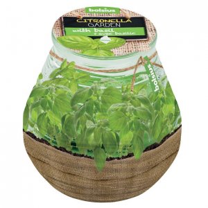 Sviečka bolsius Teracce Citronella, 94/91 mm, bazalka
