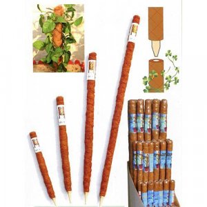 Tyč GreenGarden COCO, 4,0x040 cm, kokosová, oporná k rastlinám