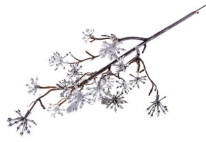 Vetvička MagicHome Vianoce, Sedum.Silver, strieborná, 14x30 cm, bal. 3 ks