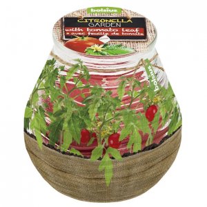 Sviečka bolsius Teracce Citronella, 94/91 mm, paradajka