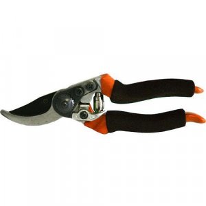 Nožnice Strend Pro P0315, záhradné, na hrozno, rúčka špongia