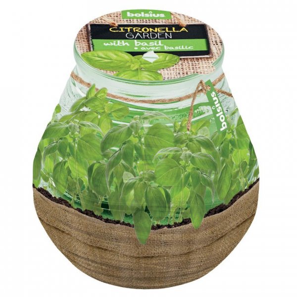 Sviečka bolsius Teracce Citronella, 94/91 mm, bazalka