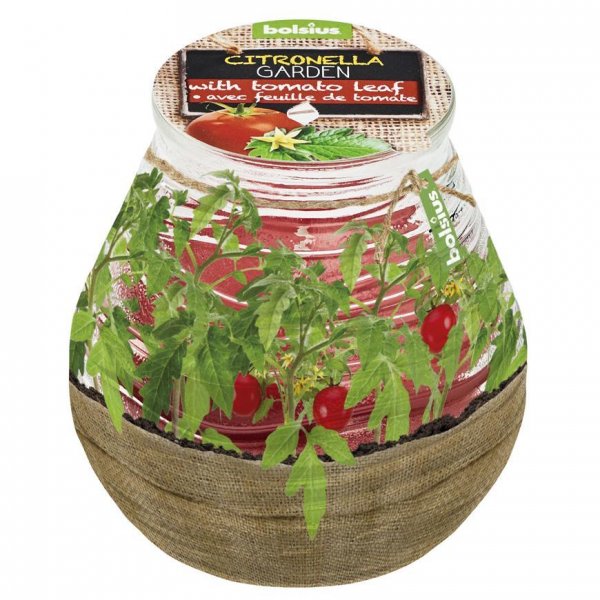 Sviečka bolsius Teracce Citronella, 94/91 mm, paradajka